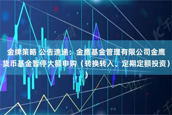 金牌策略 公告速递：金鹰基金管理有限公司金鹰货币基金暂停大额申购（转换转入、定期定额投资）